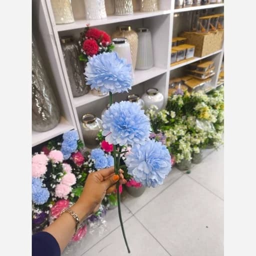گل سه شاخه — تصویر ۷