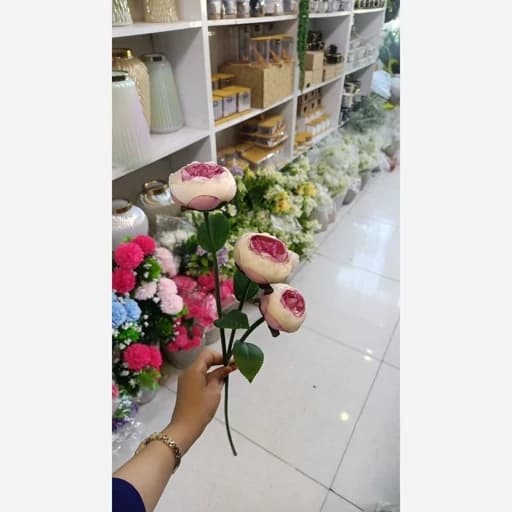 گل سه شاخه — تصویر ۶