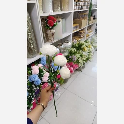 گل سه شاخه — تصویر ۵