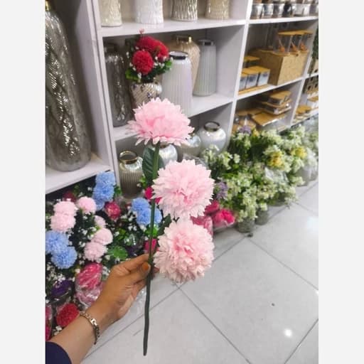 گل سه شاخه — تصویر ۳