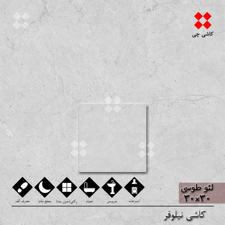 لئو طوسی 30×30 مات درجه 1