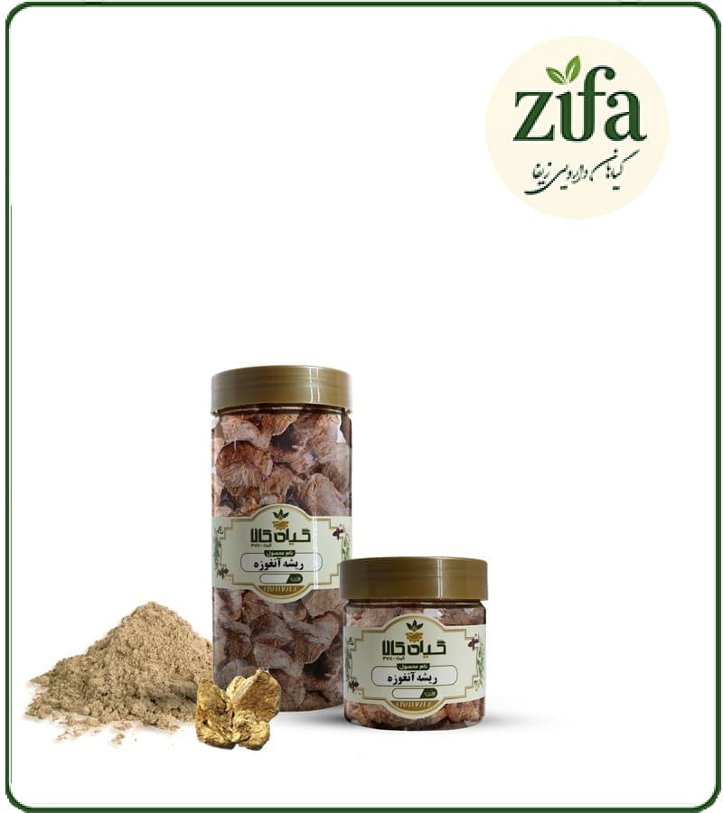 ریشه آنغوزه خشک یا پودری بسته بندی