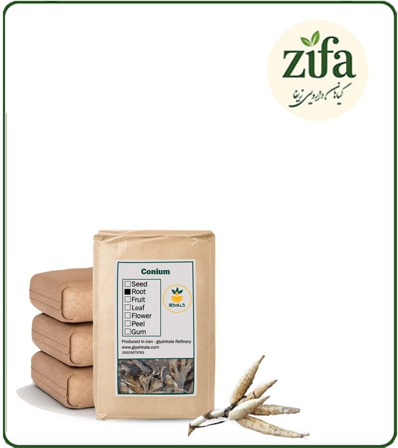 شوکران خشک فله