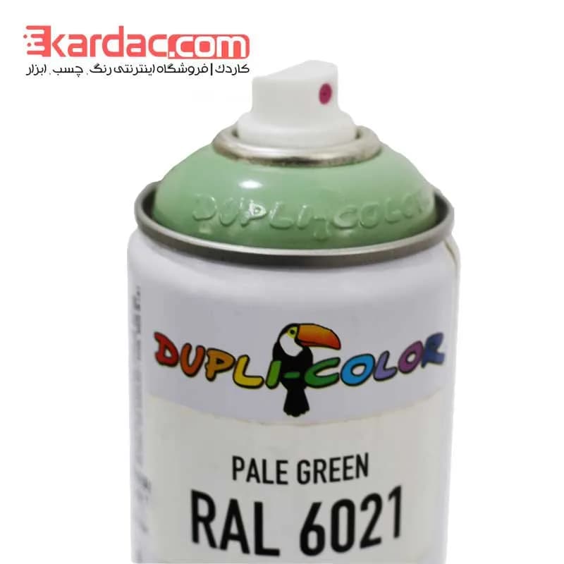 اسپری رنگ سبز کم رنگ دوپلی کالر مدل Pale Green کد رال 6021 — تصویر ۲