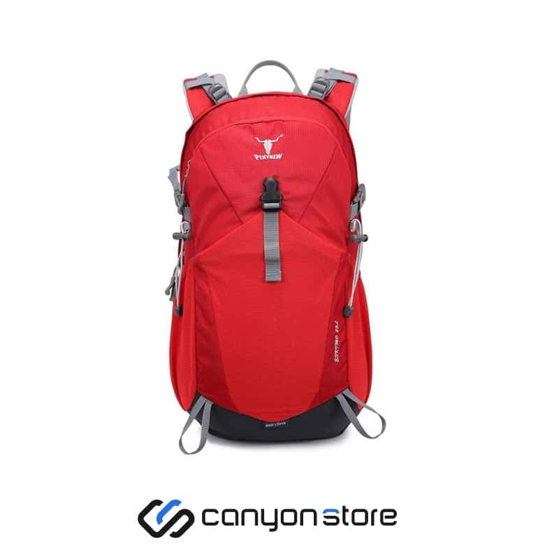 کوله پشتی پکینیو مدل Eskimo 25L KA-2320
