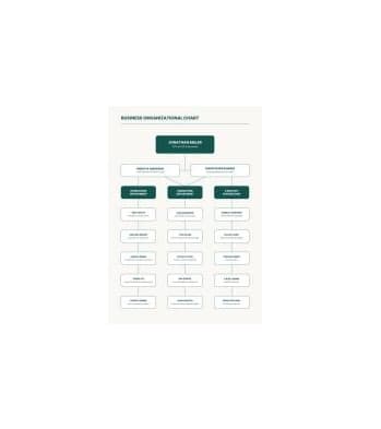 دانلود نمودار Business Organizational Chart