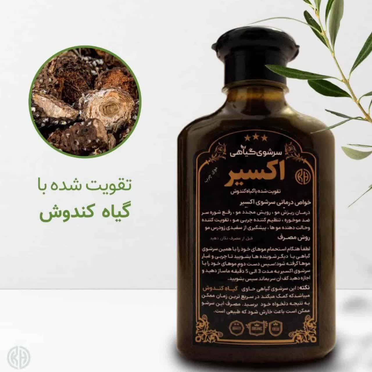شامپو اکسیر معمولی کندوش؛ تقویت و ضد ریزش مو — تصویر ۴