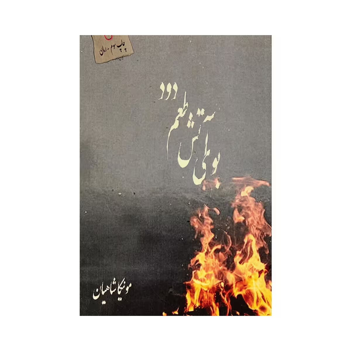 کتاب بوی آتش طعم دود