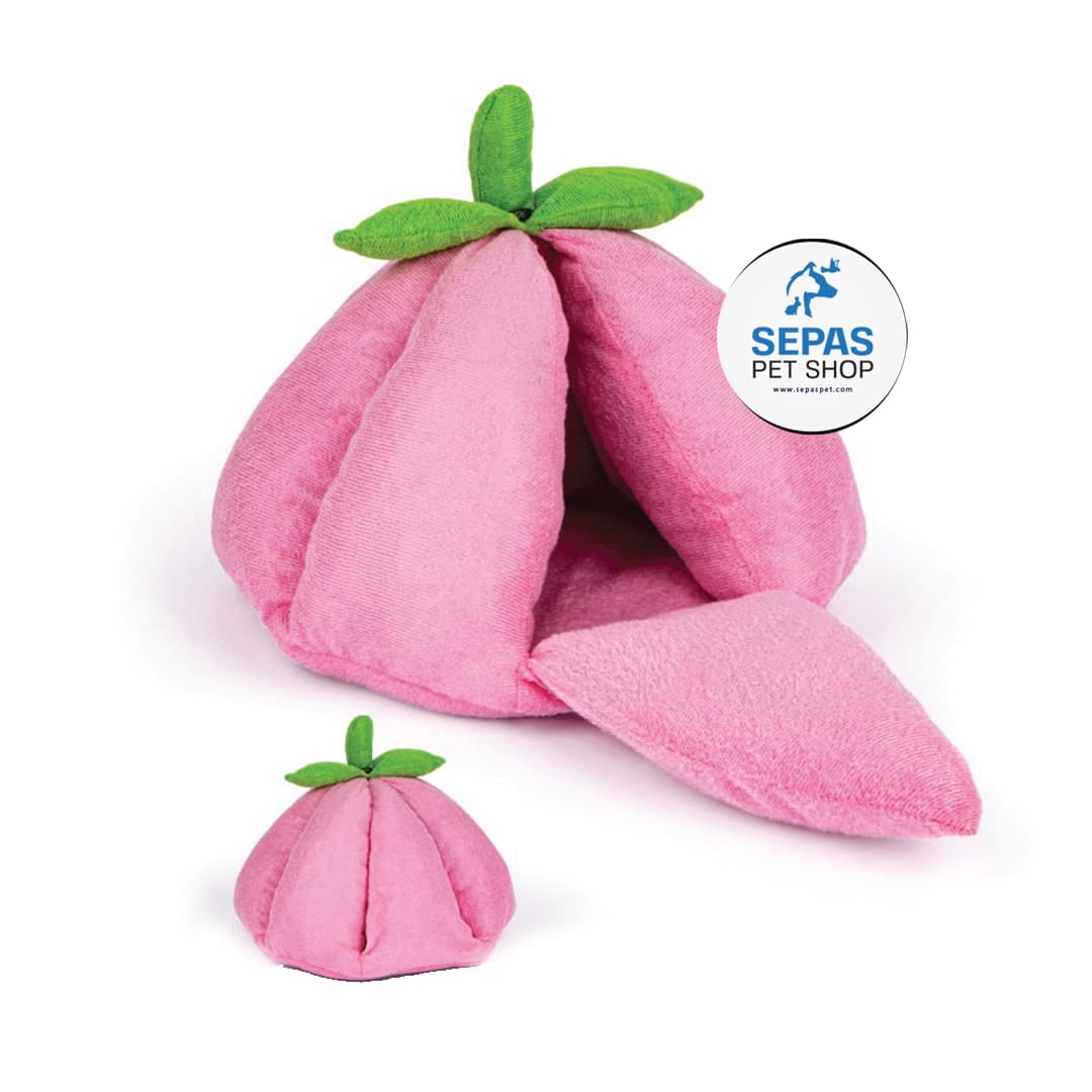 کالای خواب حیوانات سگ و گربه مدل میوه ایکس لارج (آشیانه پارچه ای فانتزی)