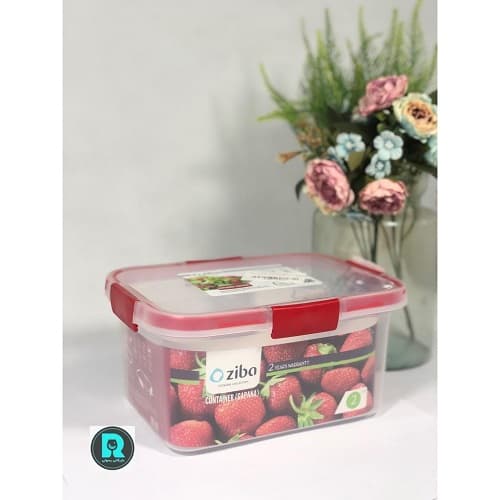 ظرف فریزری الوان مستطیل 2 لیتر 35132 گاپا زیباسازان(18) ارسال نیمه رایگان