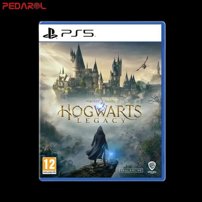 نصب بازی Hogwarts Legacy — تصویر ۲