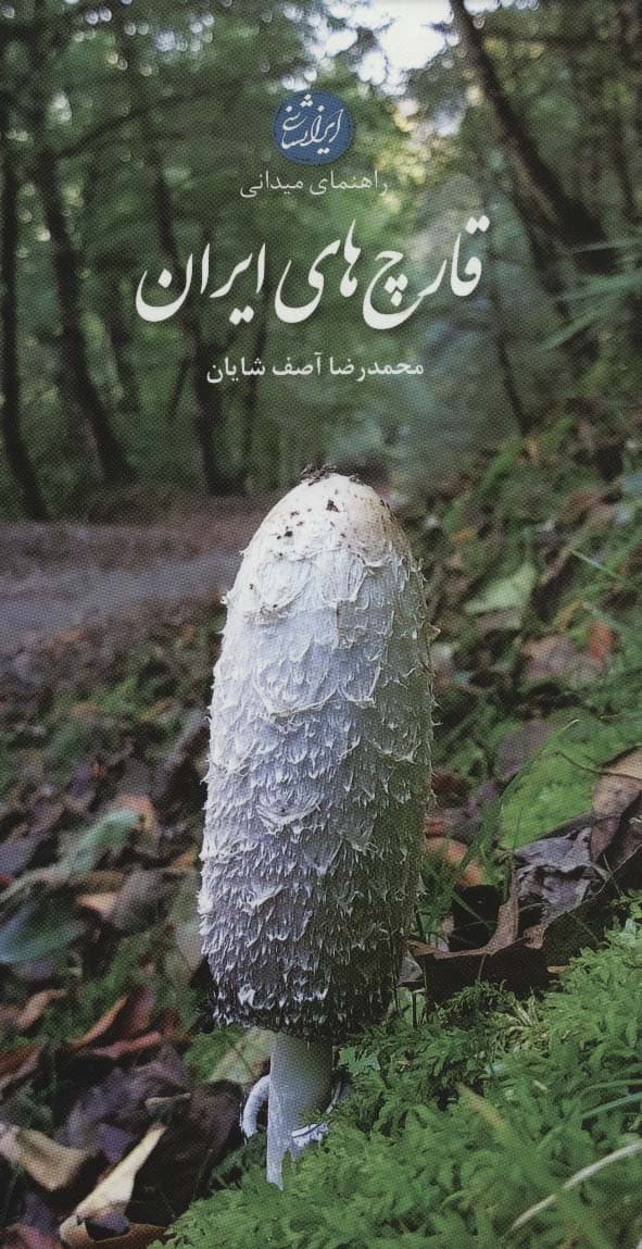 قارچ های ایران
