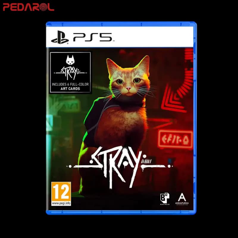 نصب بازی Stray