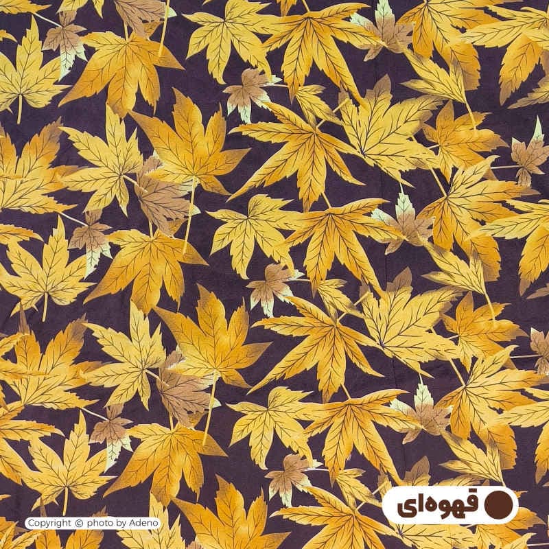 کاور تشک مهمان آدنو مدل Autumn کد CH136 — تصویر ۳