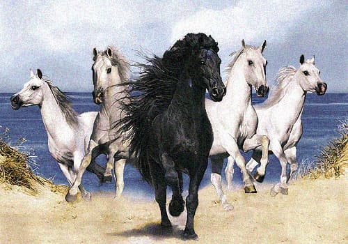 نقشه سنتی،s5-117 — تصویر ۲