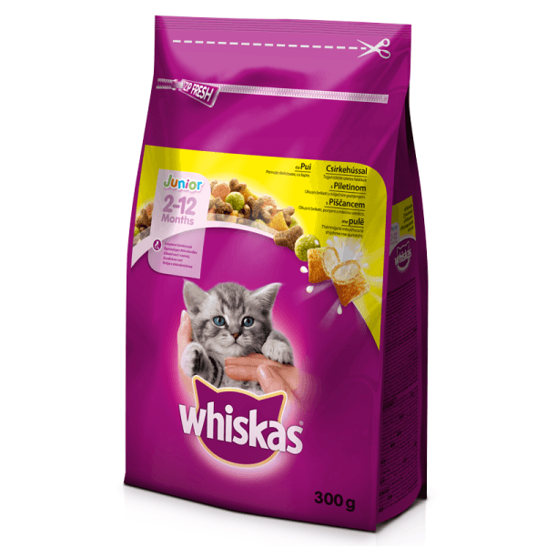 غذای خشک مغزدار ویسکاس طعم مرغ ۳۰۰ گرمی_Whiskas Cat Food Adult Chicken