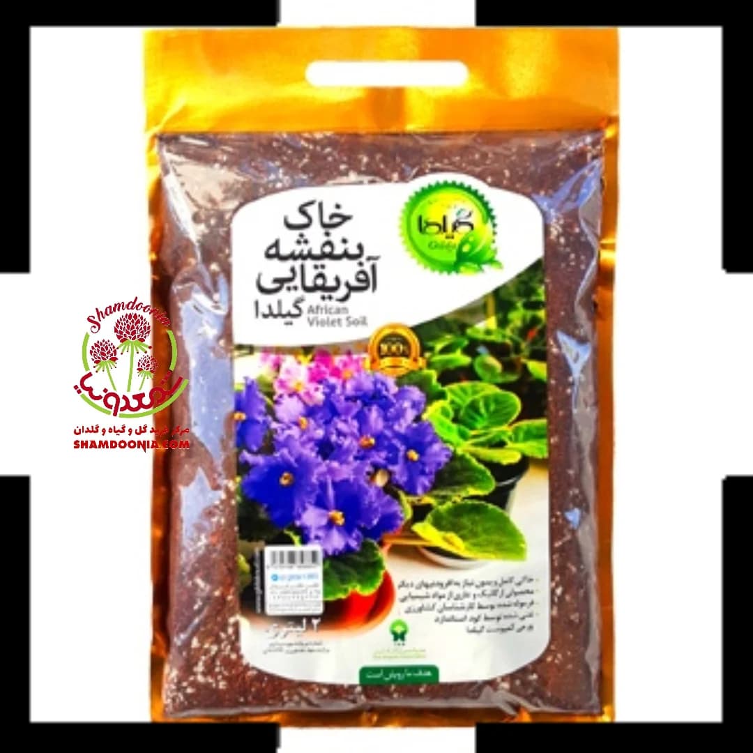 خاک بنفشه آفریقایی گیلدا