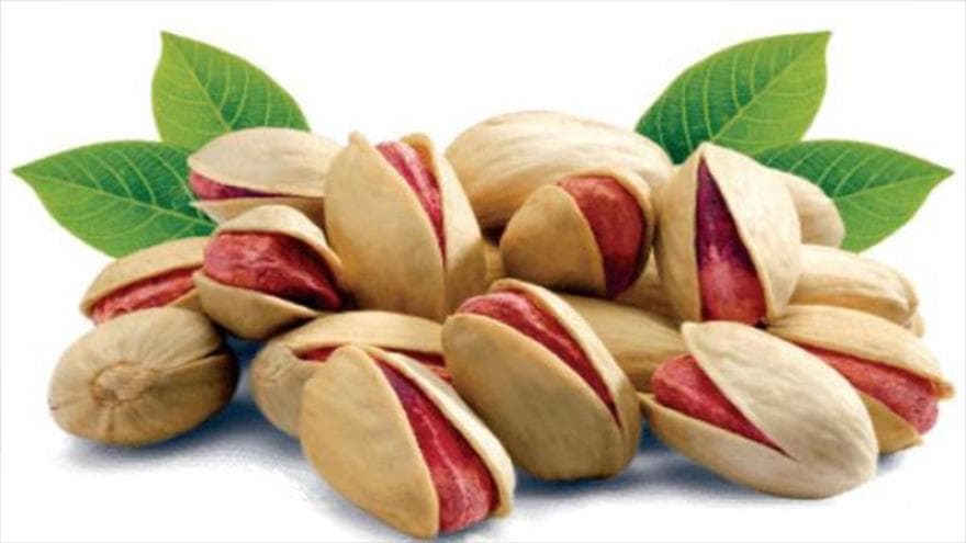 دانلود آیین کار تهیه و برداشت پسته تا بسته بندی پسته