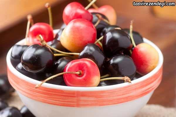 دانلود آیين كار نگهداری گيلاس و آلبالو در سردخانه