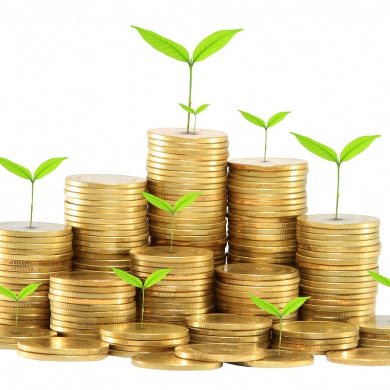 دانلود تحقیق درباره بررسی موانع استقرار سیستم آمار های مالی دولت ( GFS )
