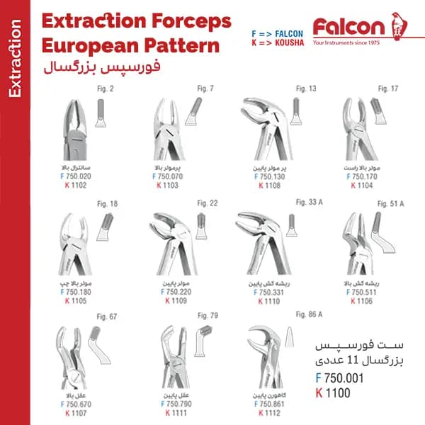 ست ۱۱ عددی فورسپس بزرگسال فالکن Falcon — تصویر ۳