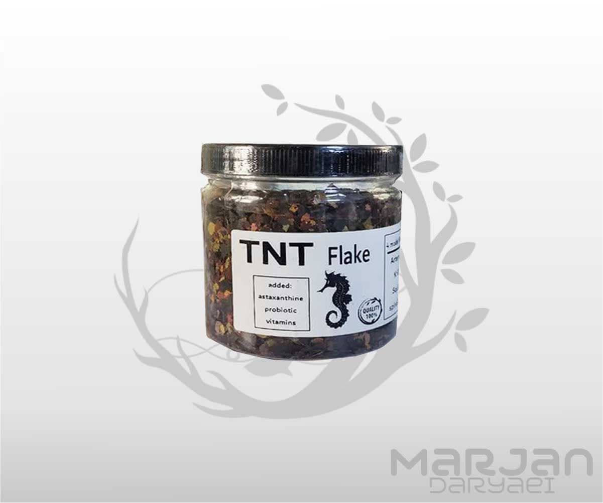 غذا ماهی پولکی تی ان تی TNT
