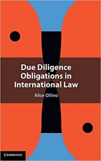 کتاب Due Diligence Obligations in International Law — تصویر ۲