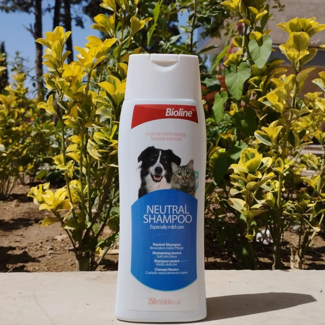 شامپو نچرال گربه و سگ بایولاین Bioline Natural Shampoo