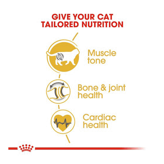 غذای خشک گربه بالغ بریتیش رویال کنین – Royal Canin British shorthair adult — تصویر ۴