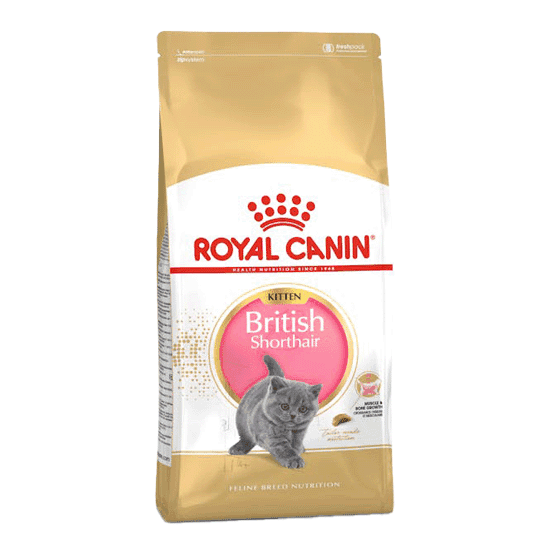 غذای خشک گربه بریتیش کیتن رویال کنین – Royal Canin British Shorthair Kitten