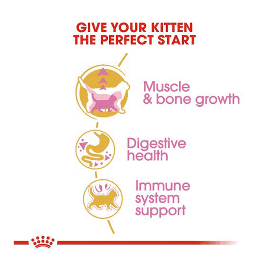 غذای خشک گربه بریتیش کیتن رویال کنین – Royal Canin British Shorthair Kitten — تصویر ۴