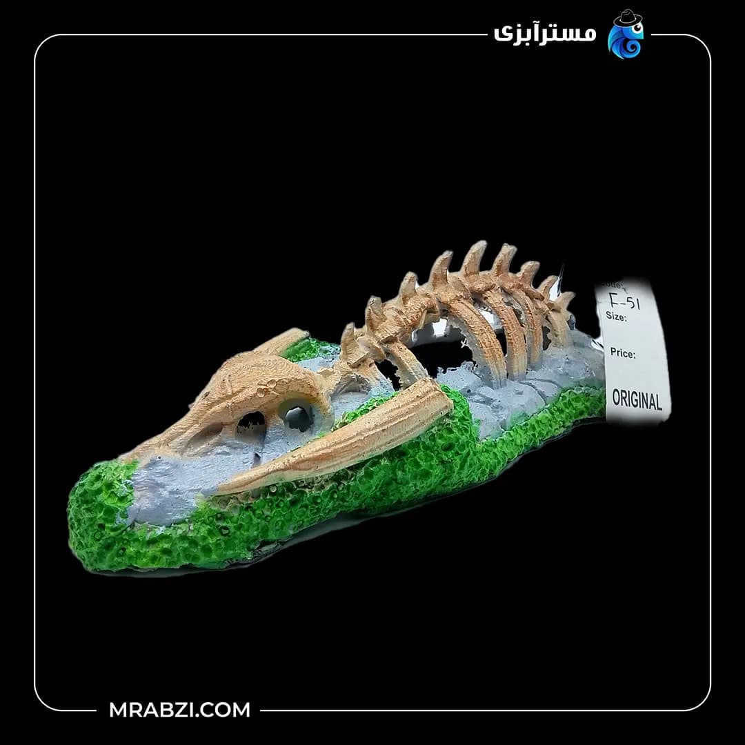 دکور آکواریوم طرح فسیل تمساح مدل F-51