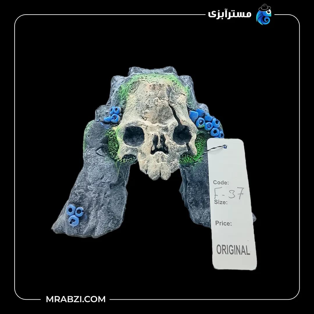 دکور آکواریوم طرح دروازه جمجمه مدل F-37 — تصویر ۲