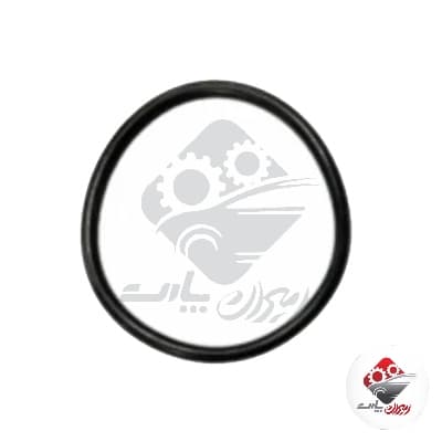 اورينگ لاستيكي واتر پمپ 206 تيپ دو سهند پارت
