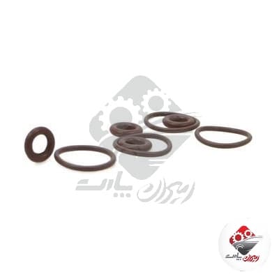 اورينگ سوزن انژكتور 405 ساژم (VITON) سهند پارت
