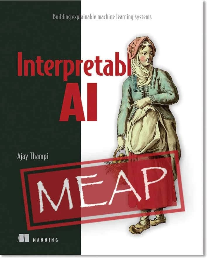 کتاب Interperetable AI — تصویر ۲