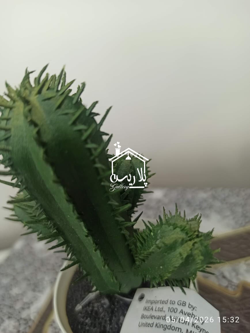 گلدان کاکتوس ایکیا 17287 — تصویر ۴