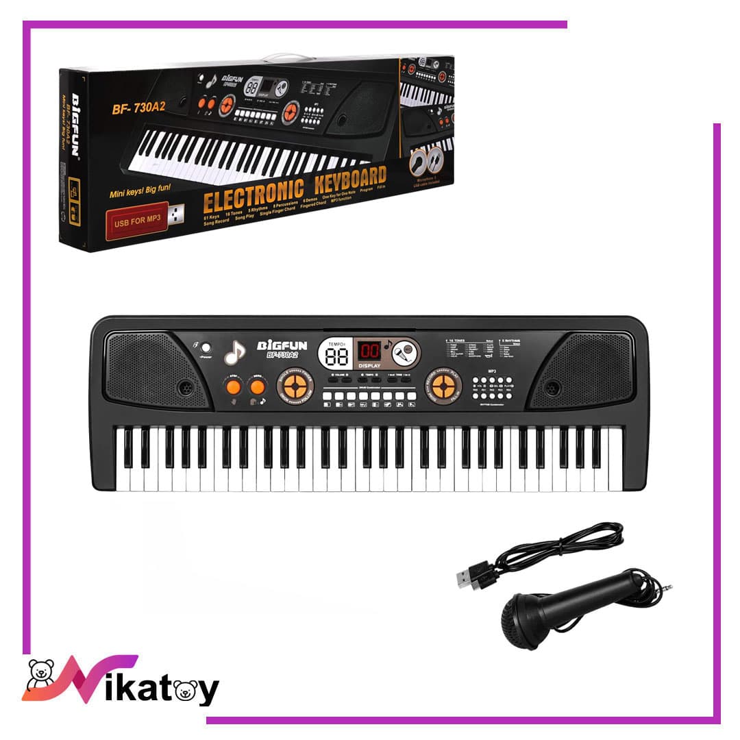 ارگ آموزشی BIGFUN Key 61 — تصویر ۲