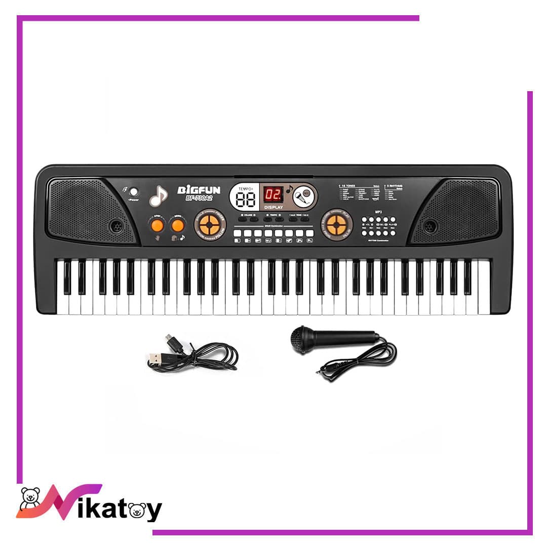 ارگ آموزشی BIGFUN Key 61 — تصویر ۵