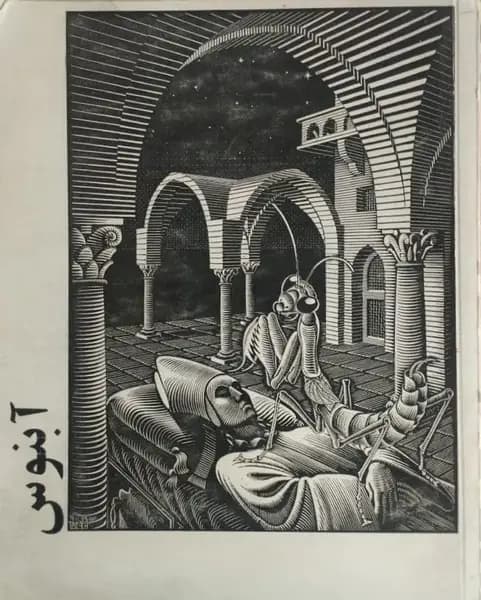 آبنوس