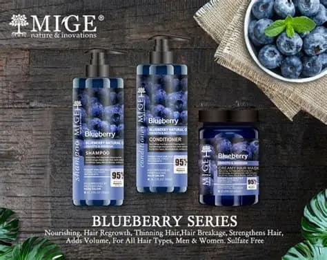 پک شامپو و ماسک بلوبری میگ SHAMPOO MASK BLUEBERRY MIGE — تصویر ۳