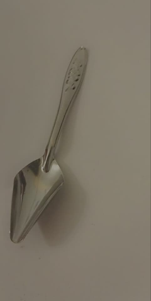 قاشق سرلاک پرنده
