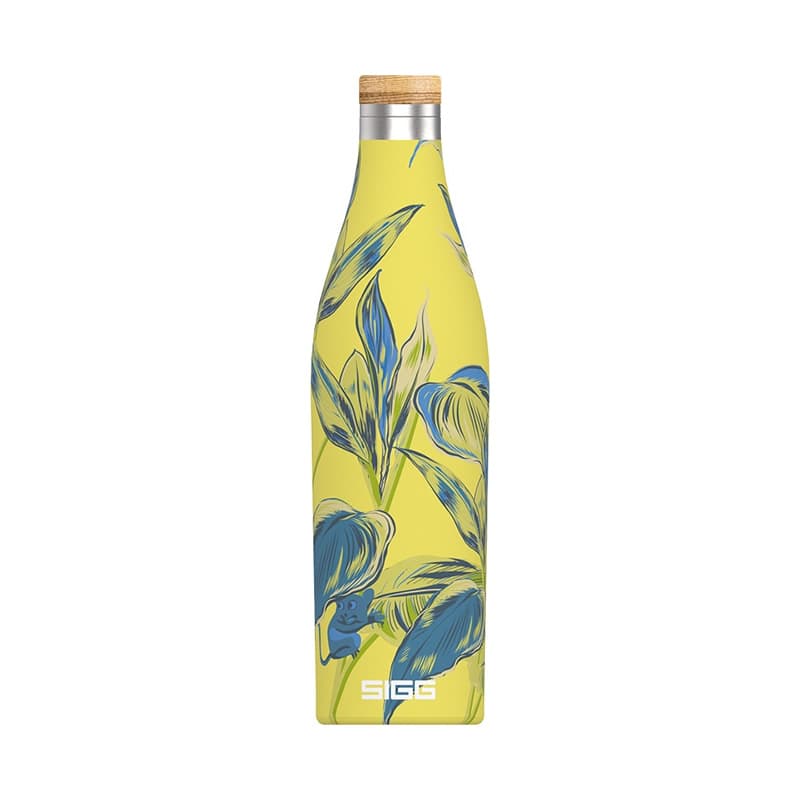 بطری آب SIGG مدل Meridian Sumatra 500