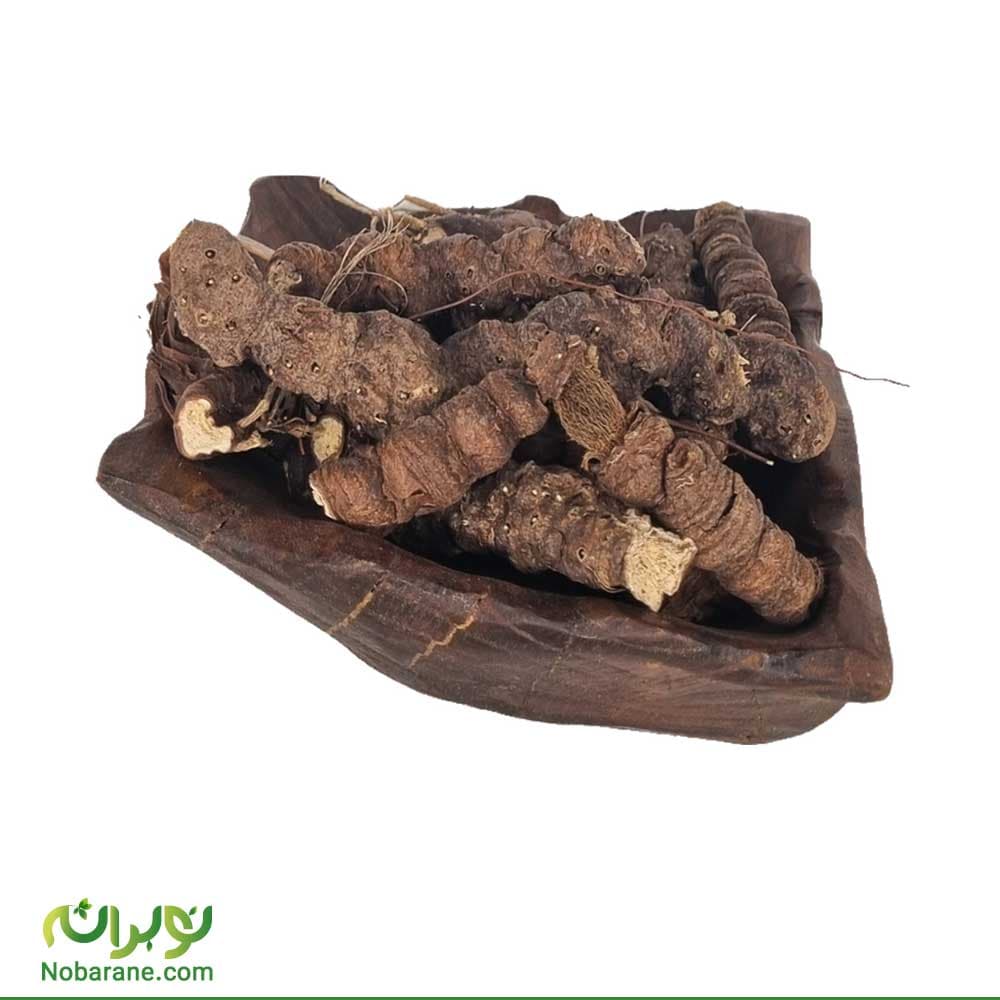 ریشه اریسا