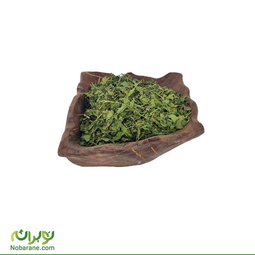 گیشنیز خشک