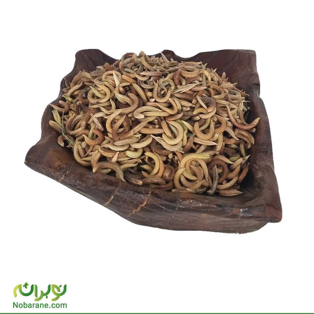 ناخنک ریز(اکلیل الملک)