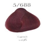 رنگ مو لیزانو 5.688