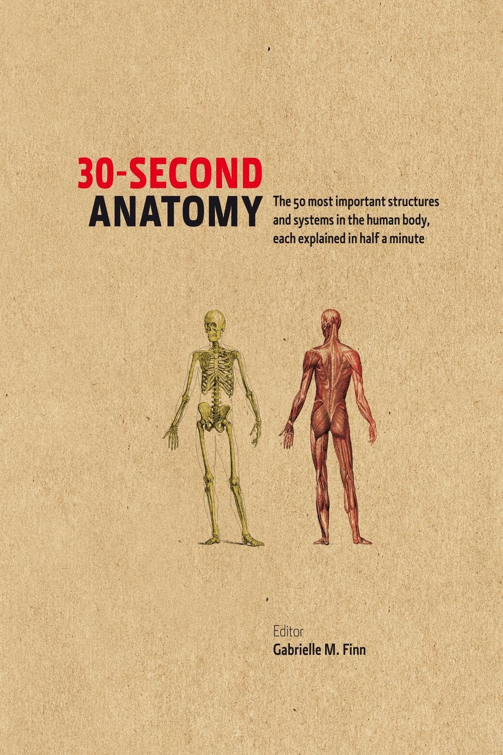 آناتومی در ۳۰ ثانیه ۲۰۱۳ <br> 30-Second Anatomy 2013