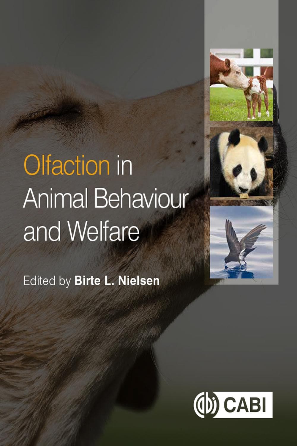 بویایی در رفتار و رفاه حیوانات ۲۰۱۷ <br> Olfaction in Animal Behaviour and Welfare 2017