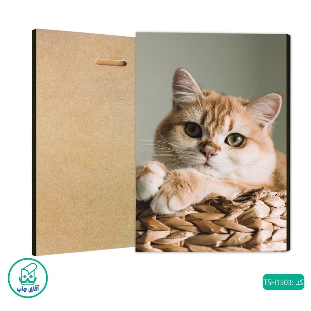 شاسی طرح گربه کد TSH1503 — تصویر ۲